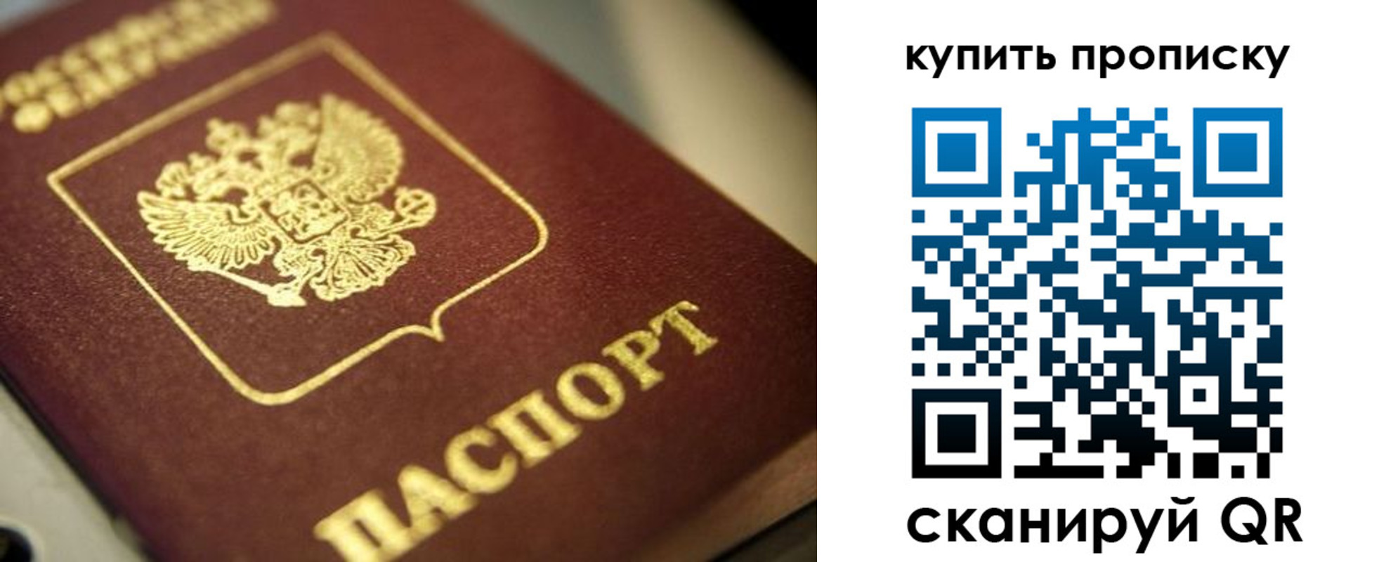 прописка поиск в Соколе